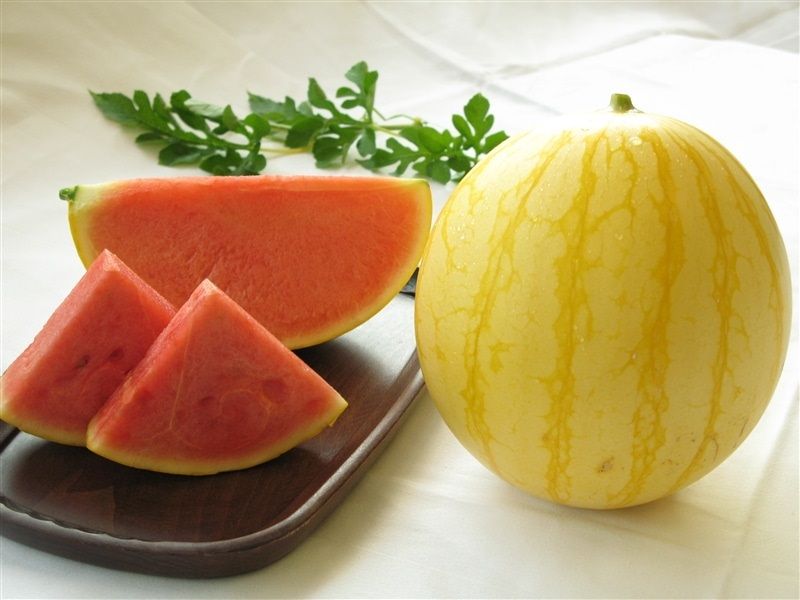 Dưa hấu vàng Kinpuku không hạt Dưa hấu vàng Kinpuku không hạt
